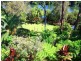 58 Old Pacific Hwy, Raleigh NSW 2454