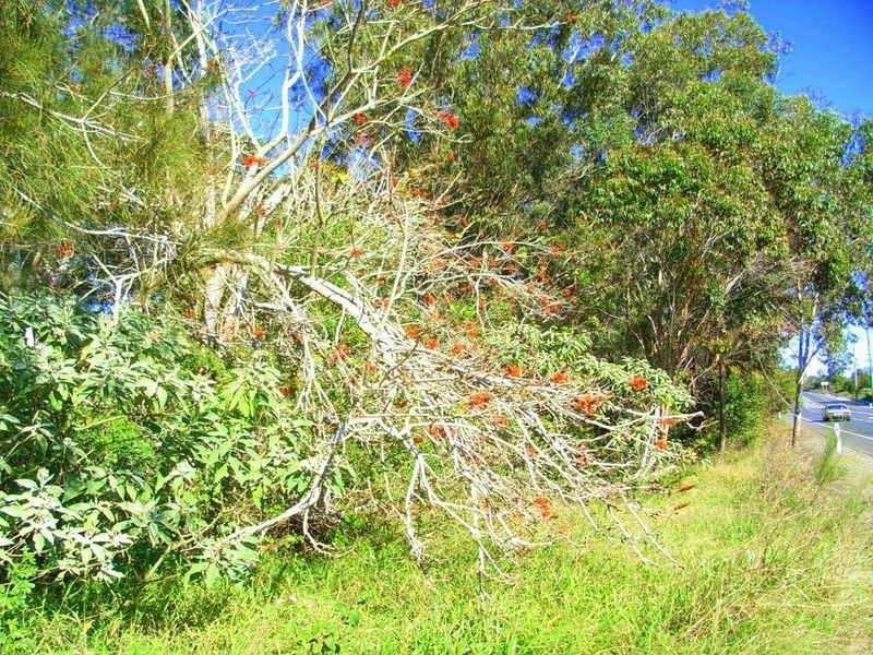 8180 Pacific Hwy, Urunga NSW 2455