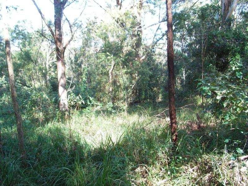8180 Pacific Hwy, Urunga NSW 2455