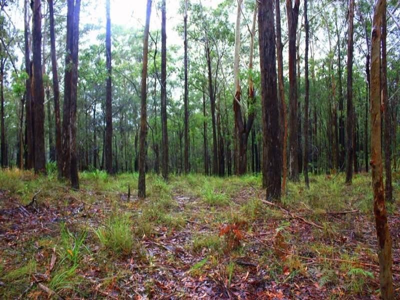 8180 Pacific Hwy, Urunga NSW 2455