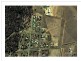 37 Uri St, Darlington Point NSW 2706