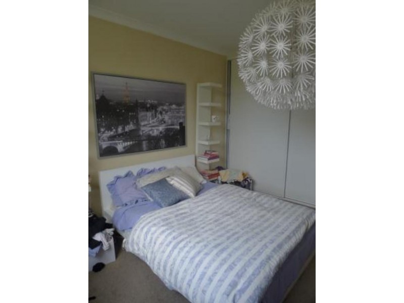 36/65 Avoca St, Randwick NSW 2031