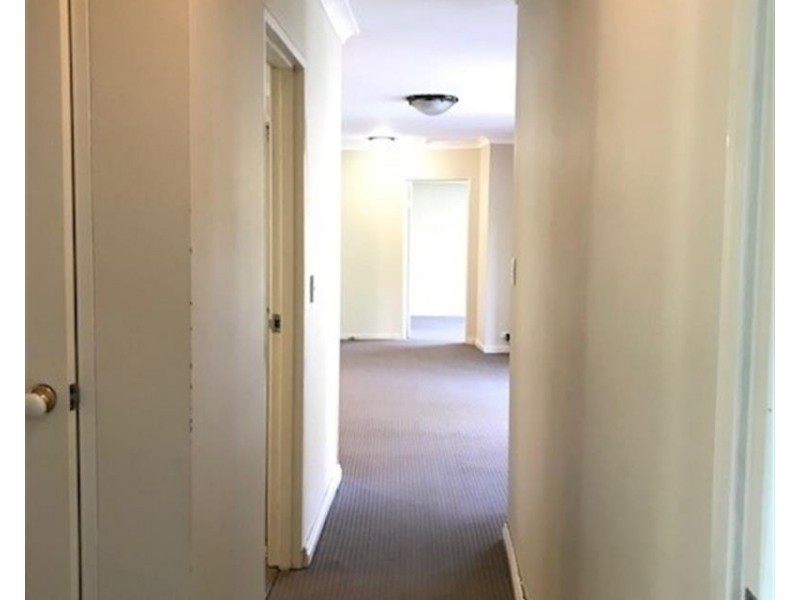 3/56 – 58 Cook Street, Randwick NSW 2031