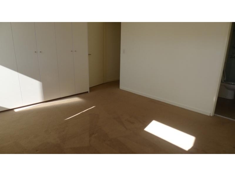 11/69 Dangar St, Randwick North NSW 2031