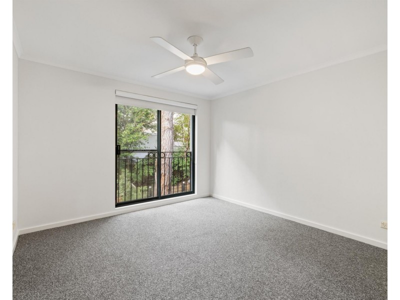 16/89-91 Dangar Street, Randwick NSW 2031