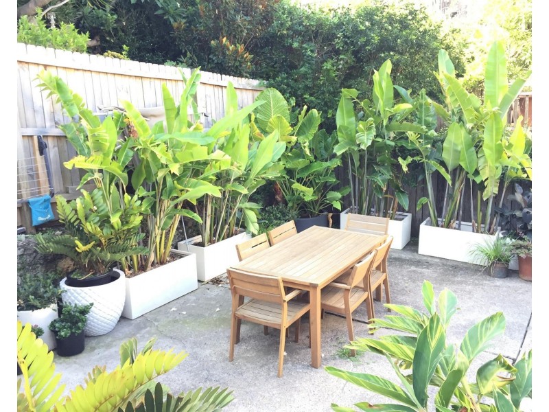 Rear/36A Oxford Street, Paddington NSW 2021