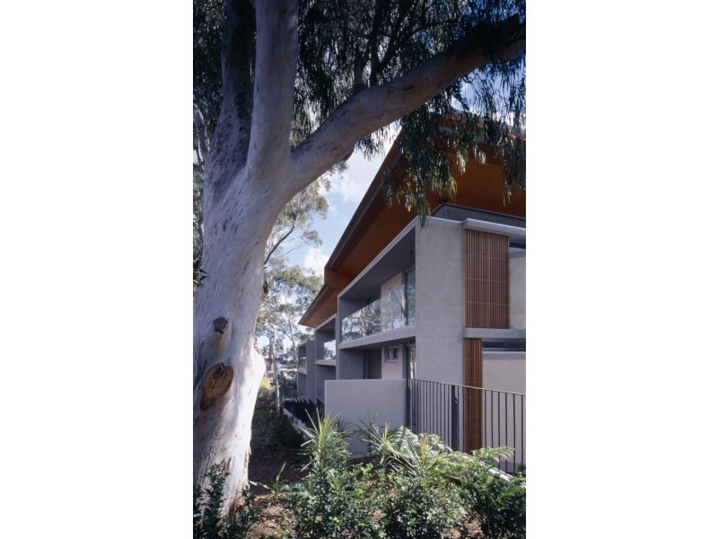 11/76 Wentworth Street, Randwick NSW 2031