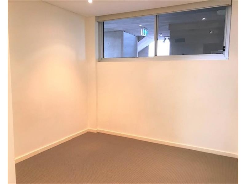 16/68-74 Wentworth  Street, Randwick NSW 2031