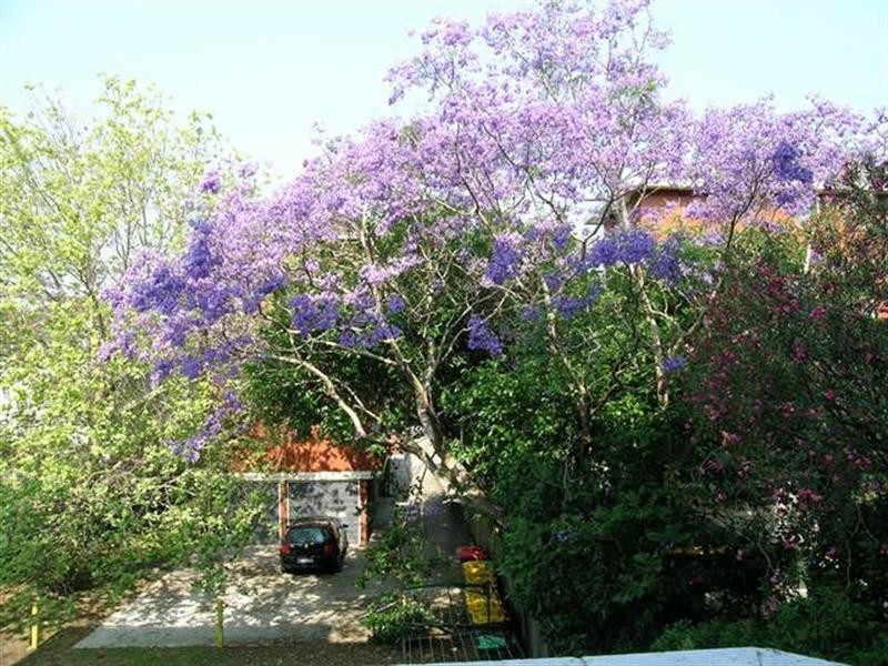 35/65-69 Avoca St, Randwick NSW 2031