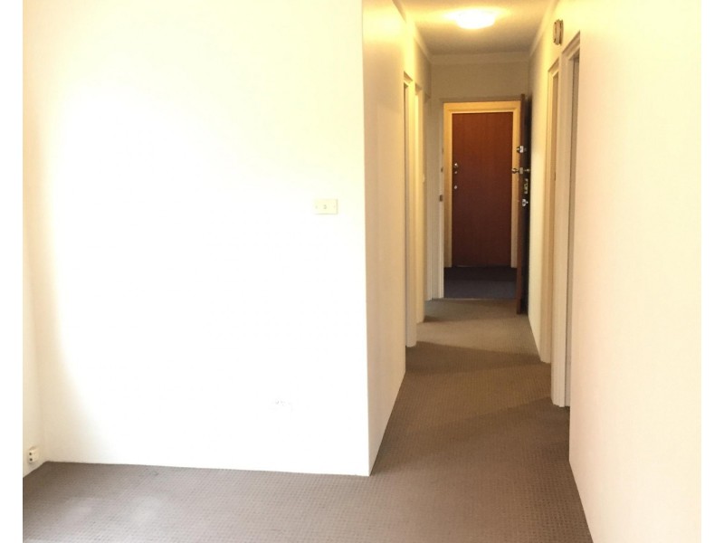 3/14 Blenheim  Street, Randwick NSW 2031