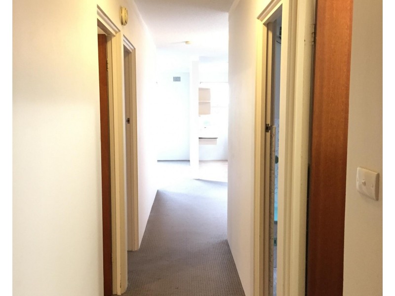 3/14 Blenheim  Street, Randwick NSW 2031