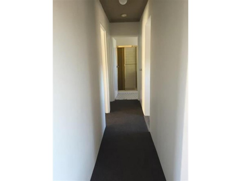 5/52 Coogee St, Randwick NSW 2031