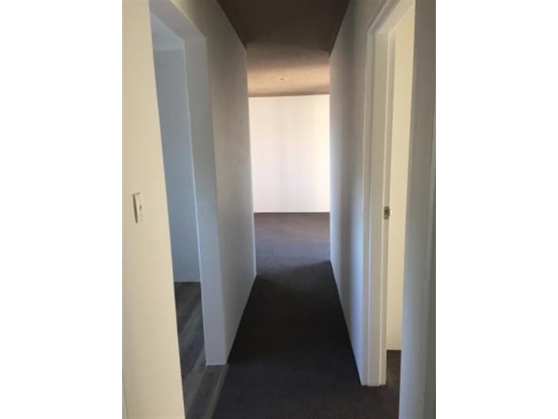 5/52 Coogee St, Randwick NSW 2031