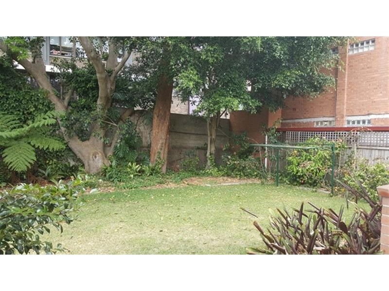 5 Darley Rd, Randwick NSW 2031