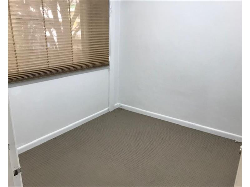 6 Clara Street, Randwick NSW 2031