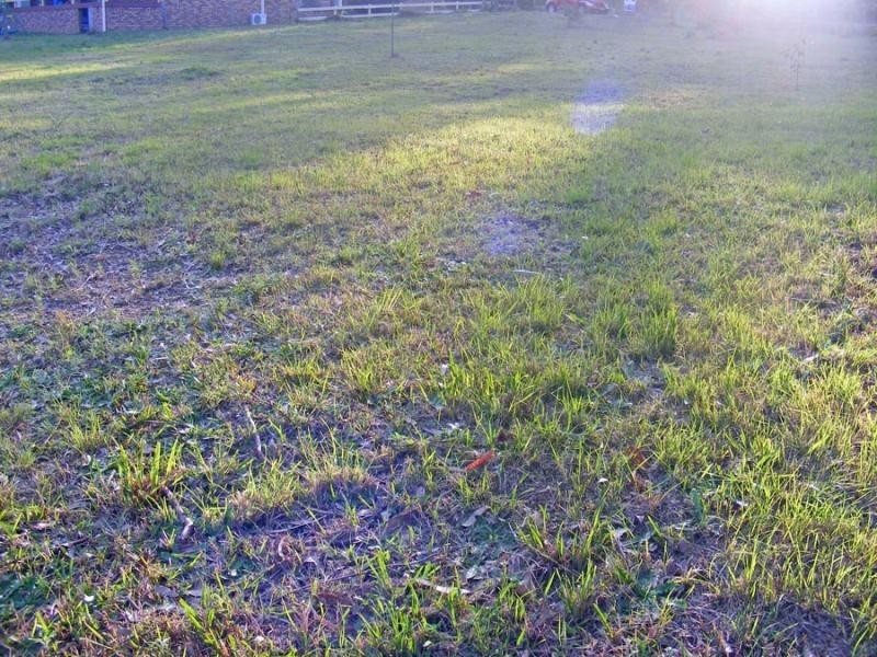 Coutts Crossing NSW 2460