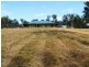 819 Lower Kangaroo Creek Rd, Grafton NSW 2460