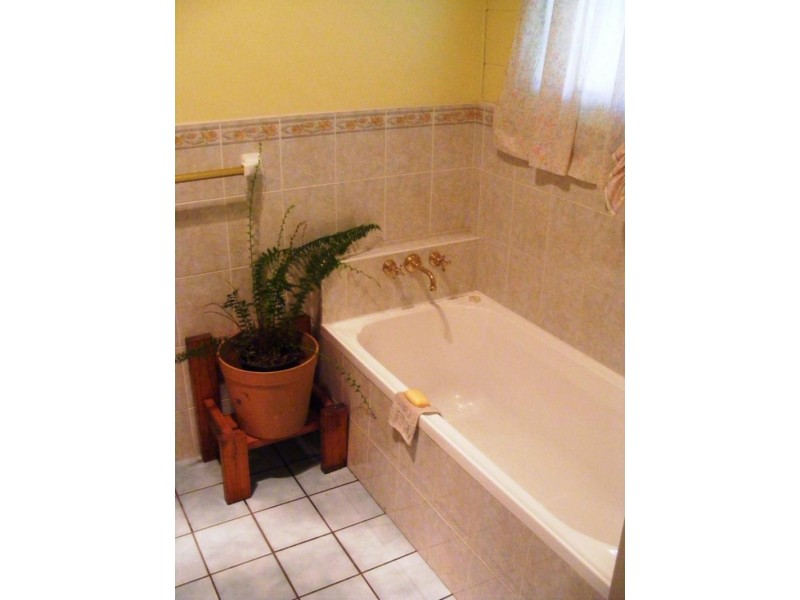 819 Lower Kangaroo Creek Rd, Grafton NSW 2460