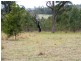 Lot 32 Lower Kangaroo Creek Rd, Grafton NSW 2460