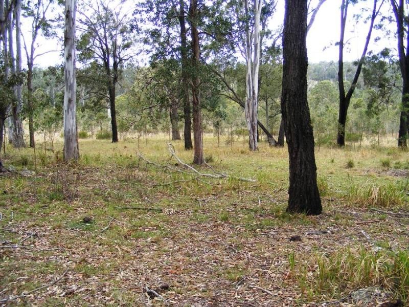 Lot 32 Lower Kangaroo Creek Rd, Grafton NSW 2460