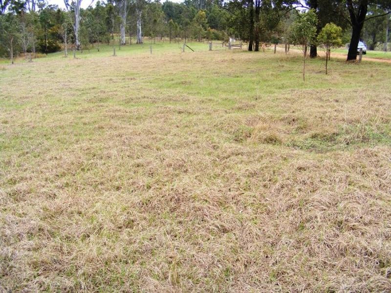 Lot 32 Lower Kangaroo Creek Rd, Grafton NSW 2460