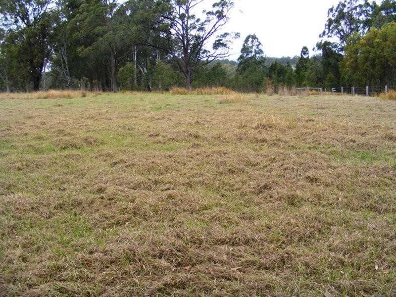Lot 32 Lower Kangaroo Creek Rd, Grafton NSW 2460