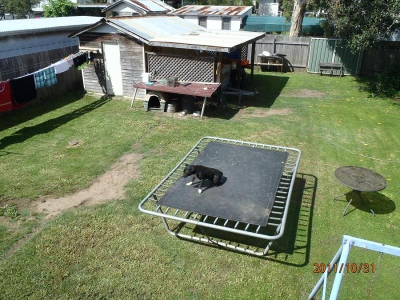 3 Carrington St, Grafton NSW 2460