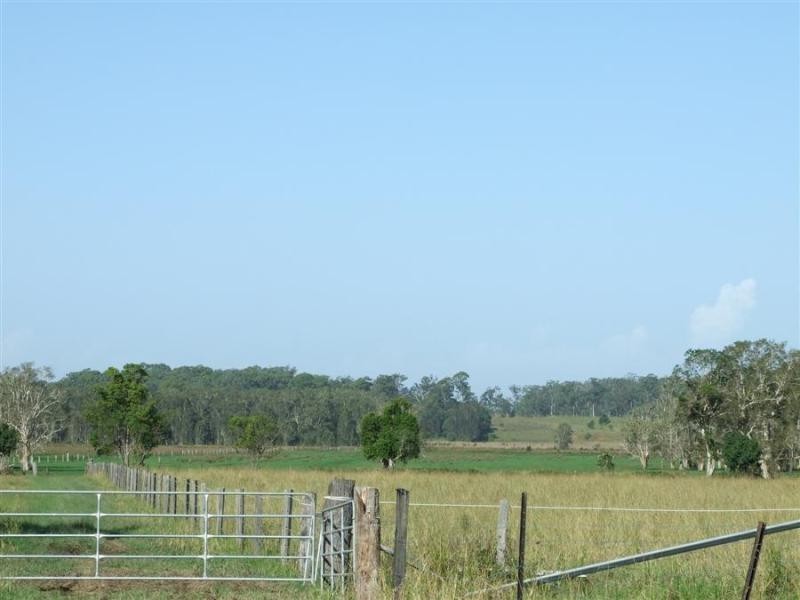 Maclean NSW 2463