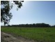 Maclean NSW 2463