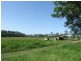 Maclean NSW 2463