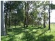 Maclean NSW 2463
