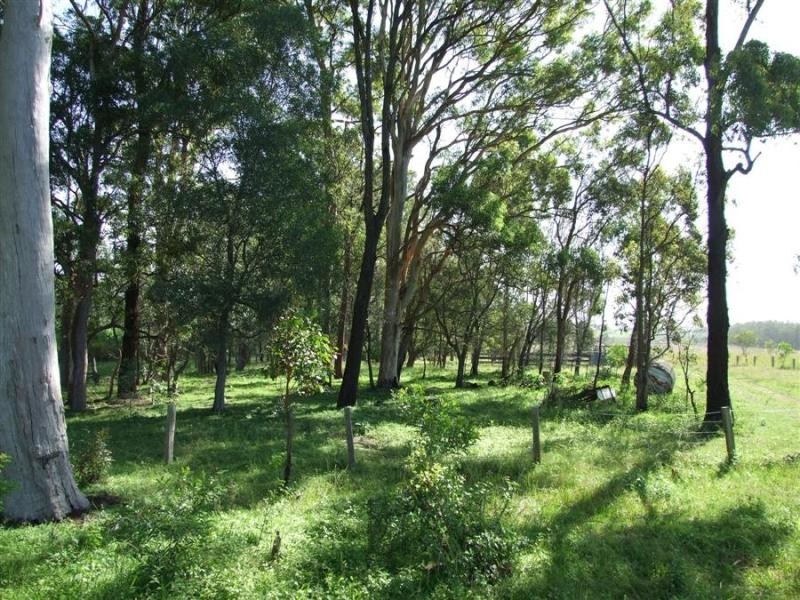 Maclean NSW 2463