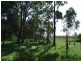Maclean NSW 2463