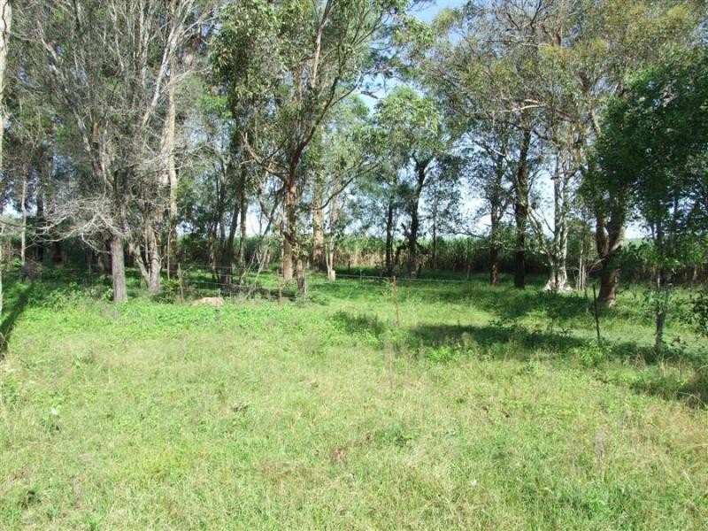 Maclean NSW 2463