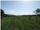 Maclean NSW 2463