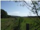 Maclean NSW 2463
