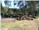 Grafton NSW 2460