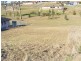 Grafton NSW 2460