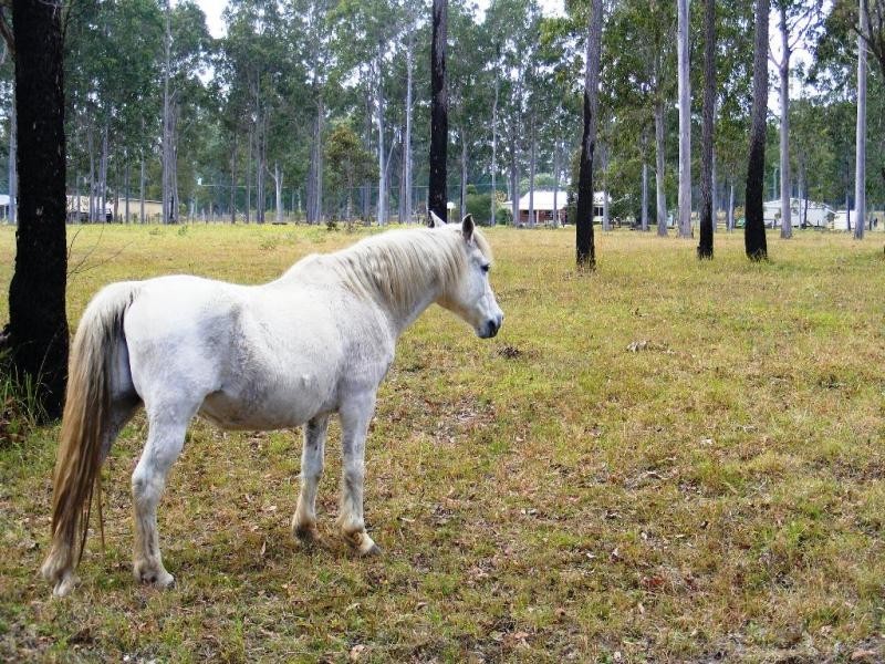 Grafton NSW 2460