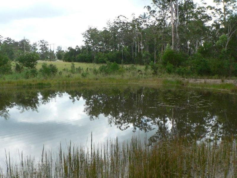 Kundabung NSW 2441