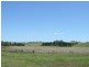 252 & 296 Rushforth Rd, Grafton NSW 2460