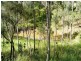 1382 Kangaroo Creek  Rd, Grafton NSW 2460