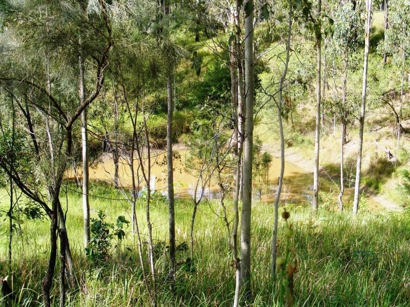 1382 Kangaroo Creek  Rd, Grafton NSW 2460