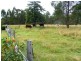 Grafton NSW 2460