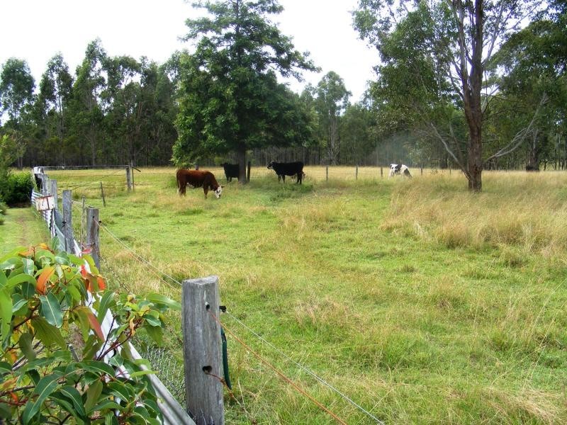 Grafton NSW 2460