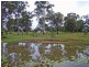 13 Clearview  Rd, Coutts Crossing NSW 2460