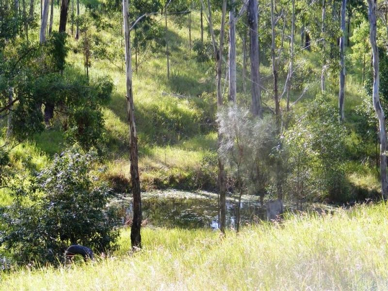 2558 Gwydir  Hwy, Grafton NSW 2460