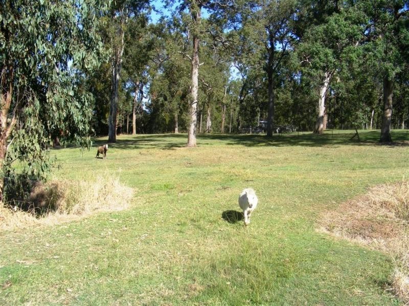 2558 Gwydir  Hwy, Grafton NSW 2460