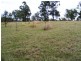 Grafton NSW 2460
