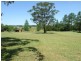 Aldavilla NSW 2440